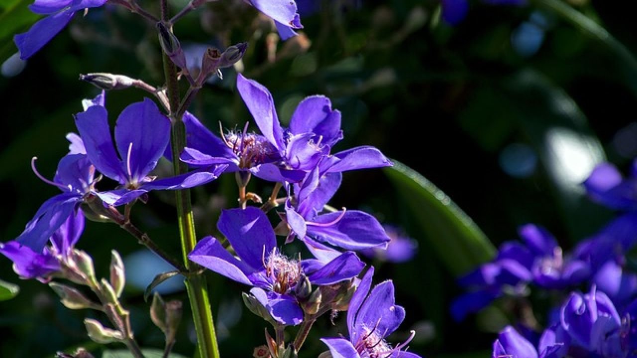 <br />
<b>Warning</b>:  Undefined variable $full_image_alt_txt in <b>/home/u893763240/domains/conic.org.br/public_html/portal/templates/shaper_gazette/html/layouts/joomla/content/intro_image.php</b> on line <b>70</b><br />
