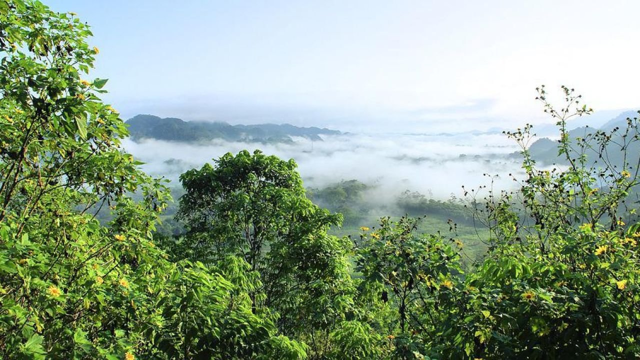 REPAM-Brasil lança Campanha #EuVotoPelaAmazonia