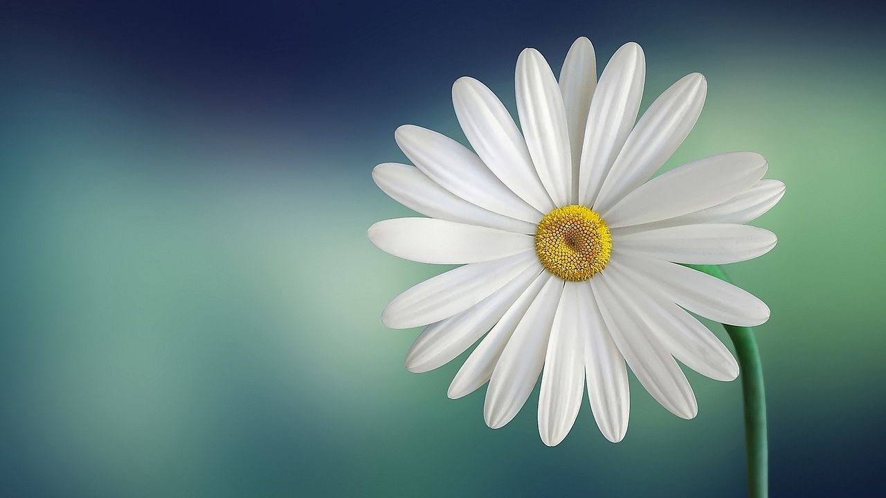 8 de Março - A naturalização e a sacralização da violência contra mulheres