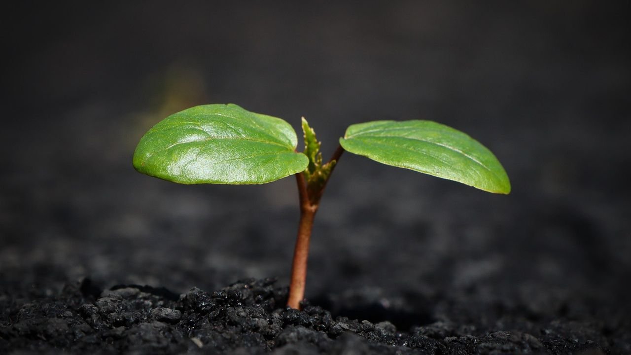 <br />
<b>Warning</b>:  Undefined variable $full_image_alt_txt in <b>/home/u893763240/domains/conic.org.br/public_html/portal/templates/shaper_gazette/html/layouts/joomla/content/intro_image.php</b> on line <b>70</b><br />
